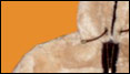 click for more info
